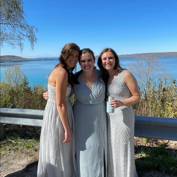 BHLDN x Anthropologie Blaise Sequined Fog - Picture 3 of 11